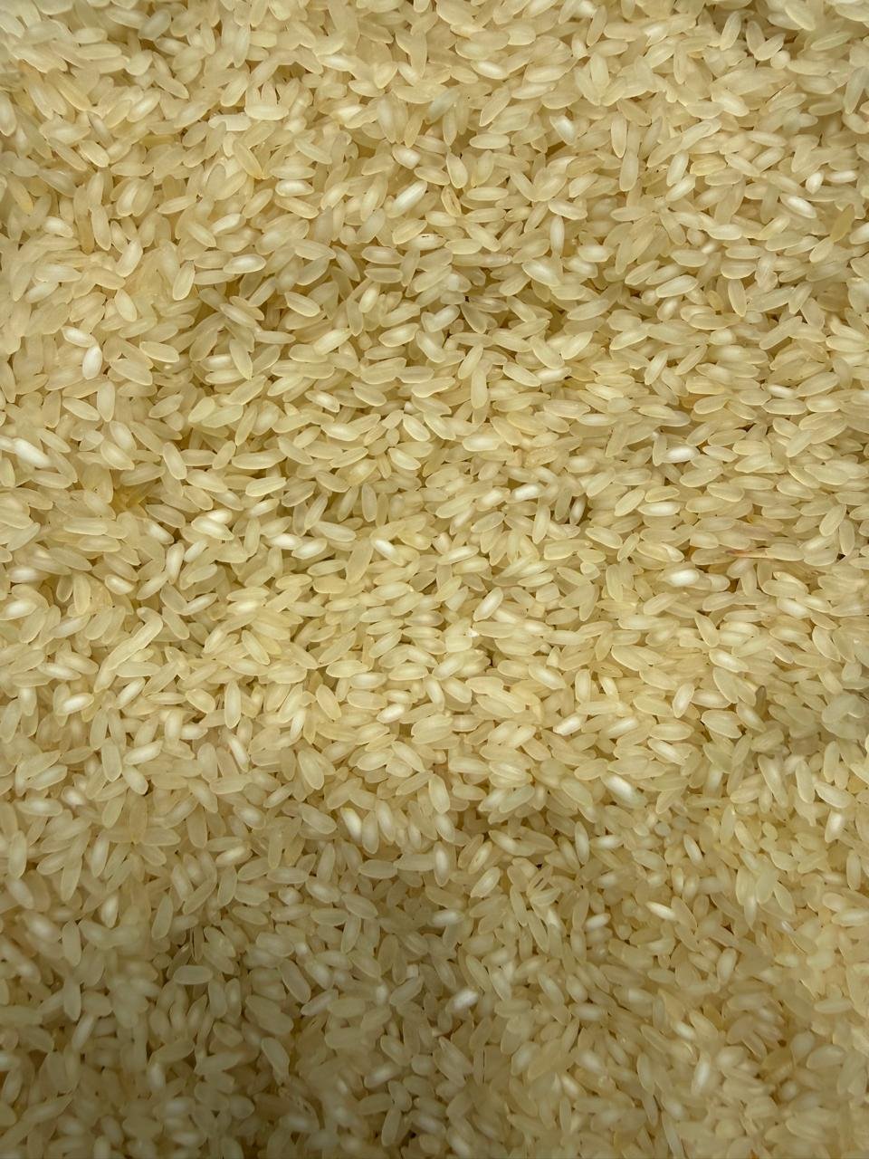 Desi Bpt Rice